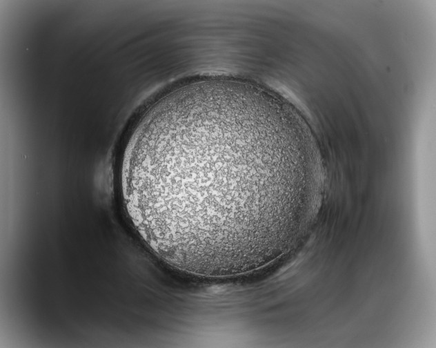 X0000088230584200705292135