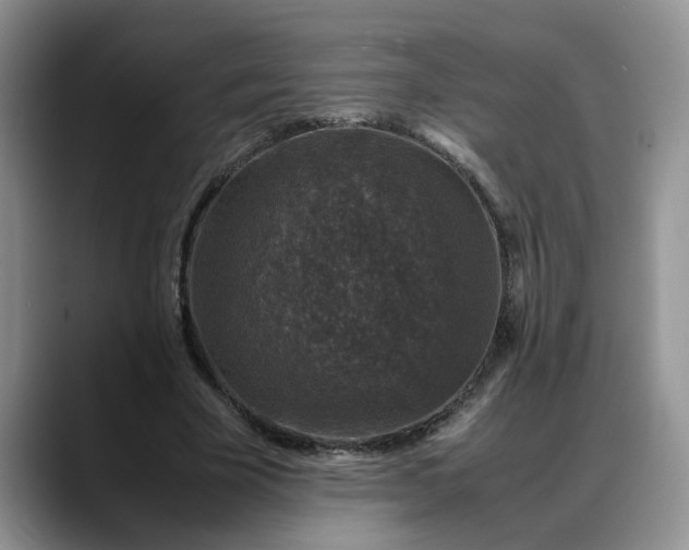 X0000088230585200705292135