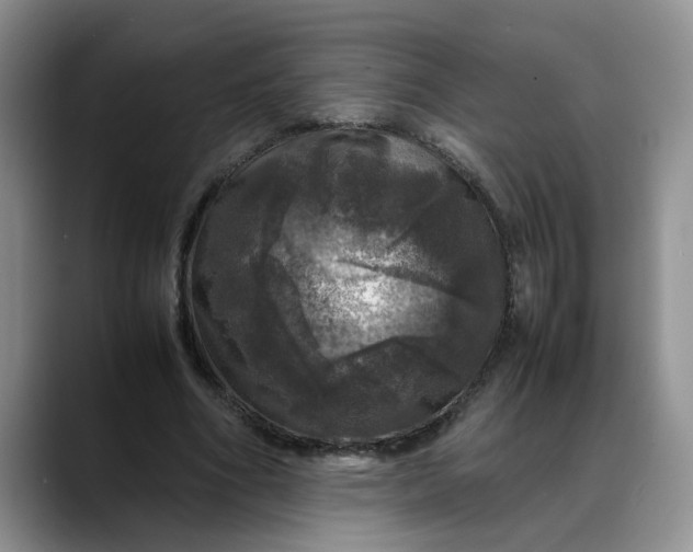 X0000088230586200705292135
