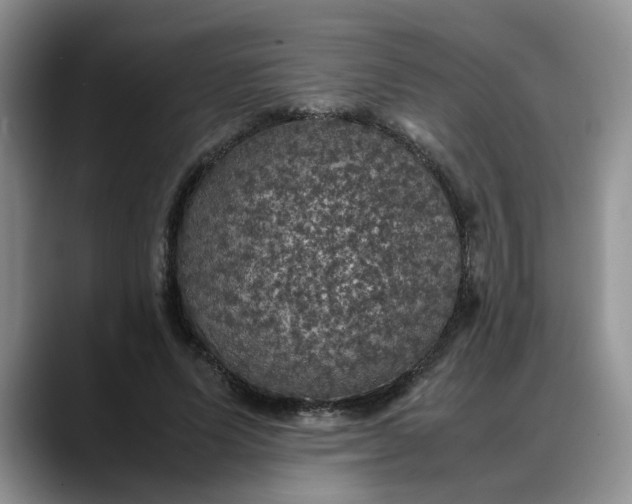 X0000088230591200705292135