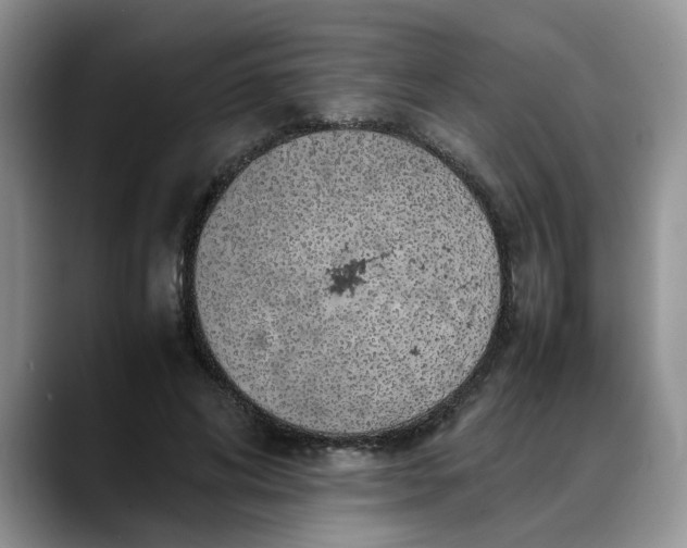 X0000088230592200705292135