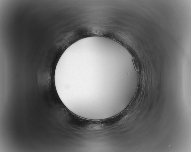 X0000088230595200705292135