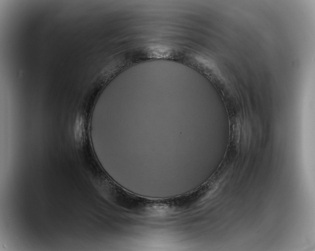 X0000088230598200705292135