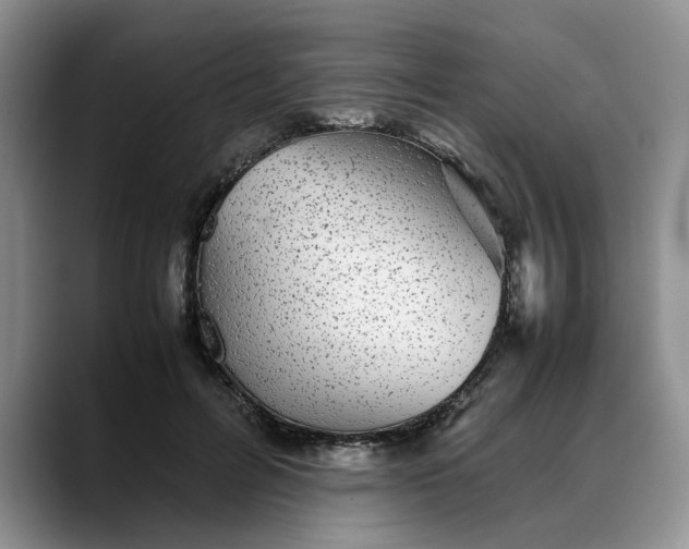 X0000088230600200705292135