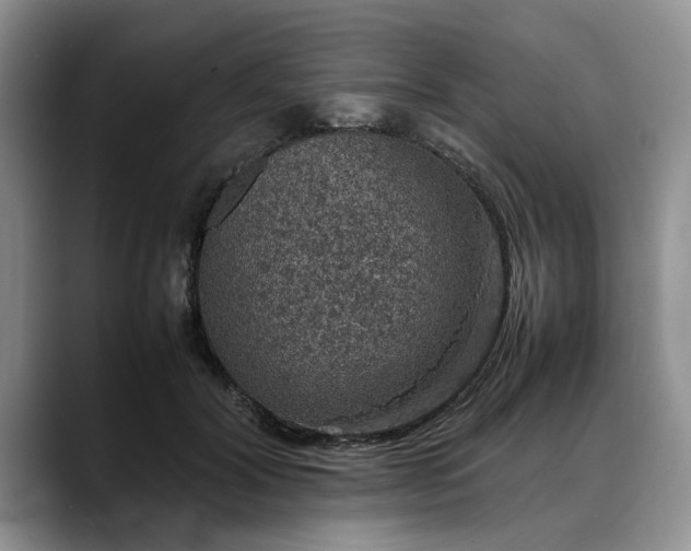 X0000088230604200705292135