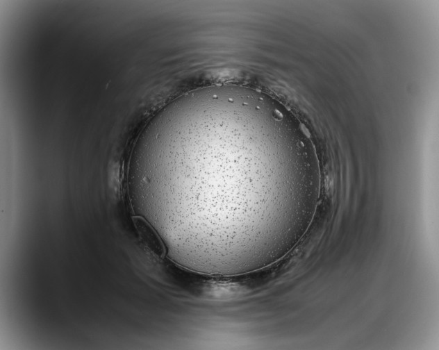 X0000088230605200705292135