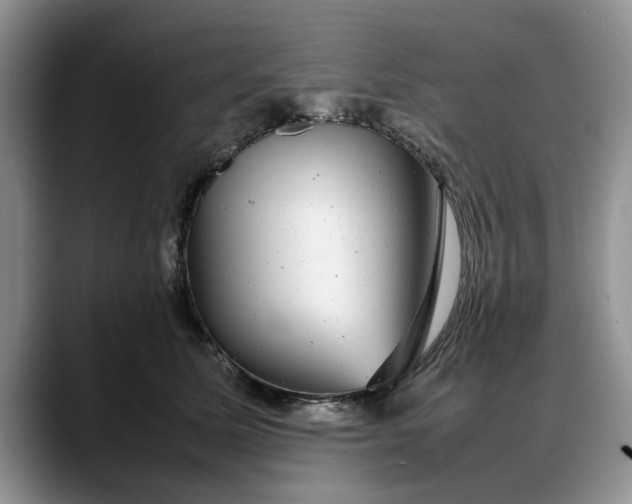 X0000088230611200705292135