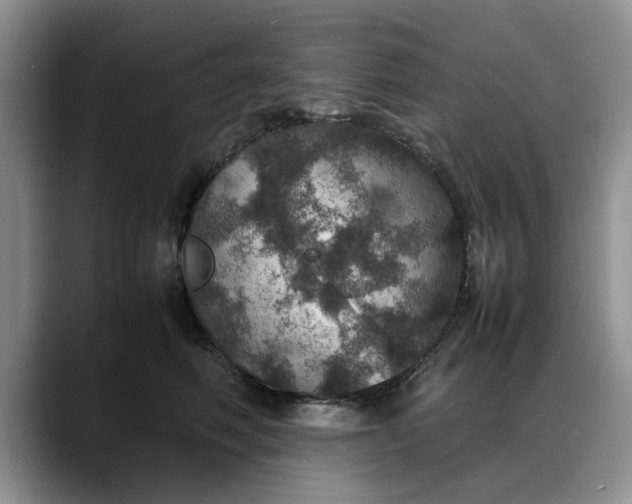 X0000088230614200705292135