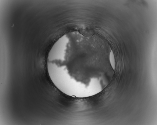 X0000088230616200705292135
