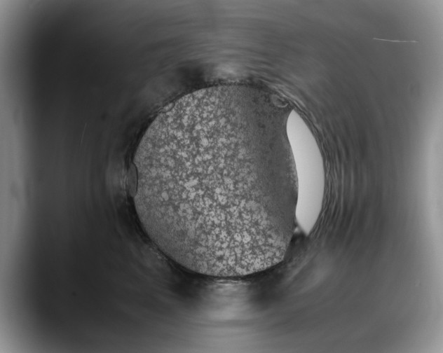 X0000088230617200705292135