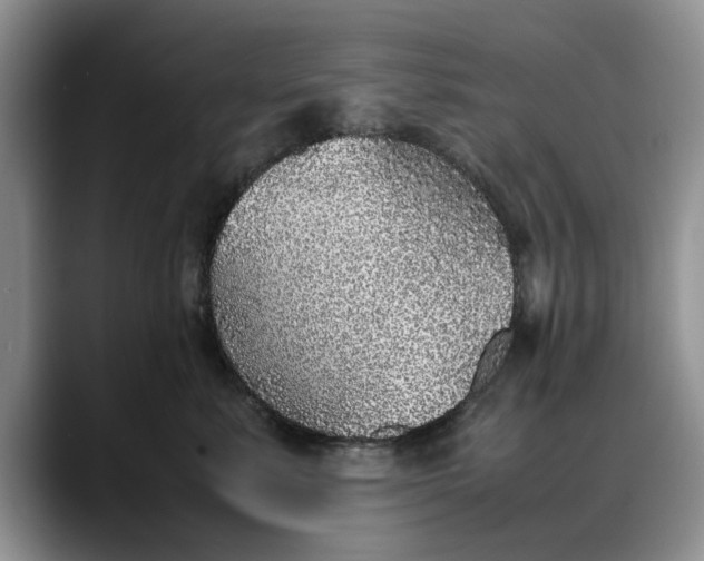 X0000088230619200705292135