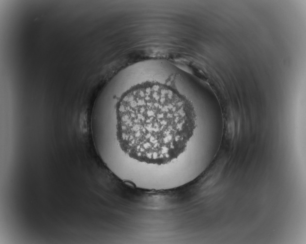 X0000088230620200705292135
