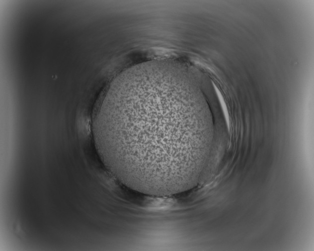 X0000088230621200705292135