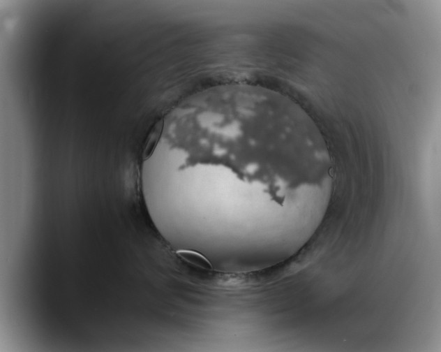 X0000088230624200705292135