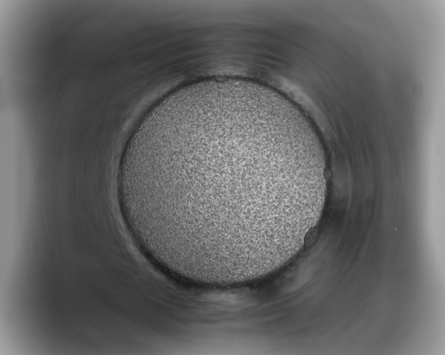 X0000088230625200705292134