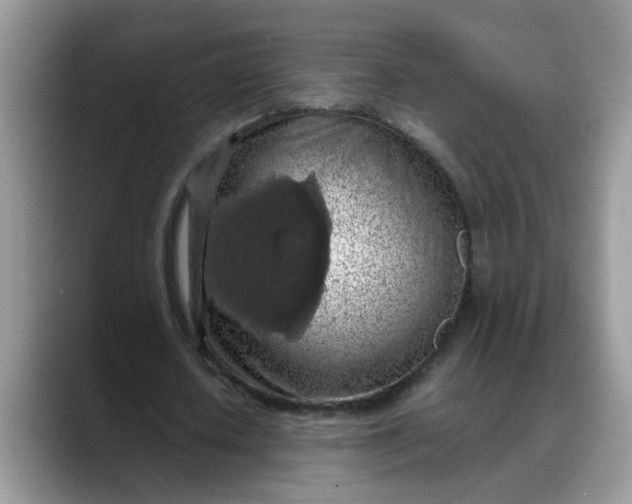 X0000088230626200705292134