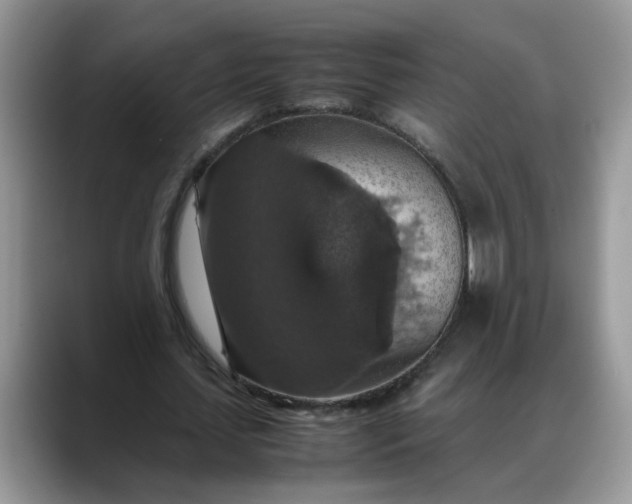 X0000088230627200705292134