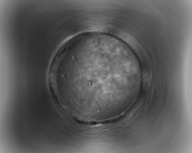 X0000088230628200705292134