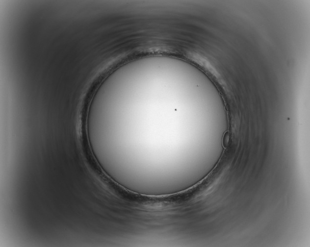 X0000088230629200705292134