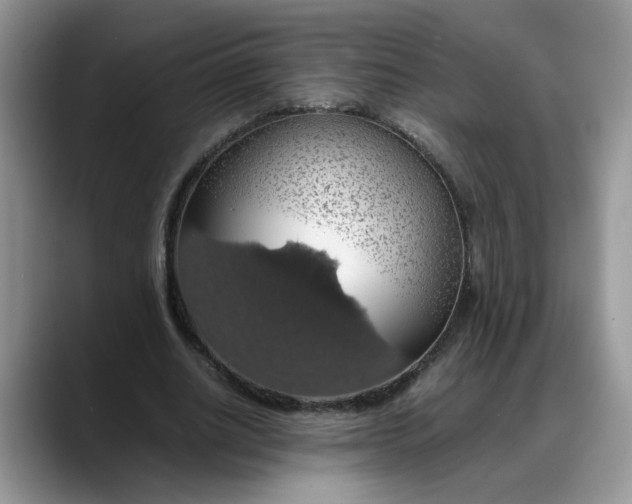 X0000088230630200705292134