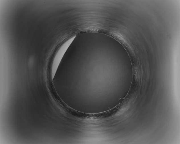 X0000088230634200705292134