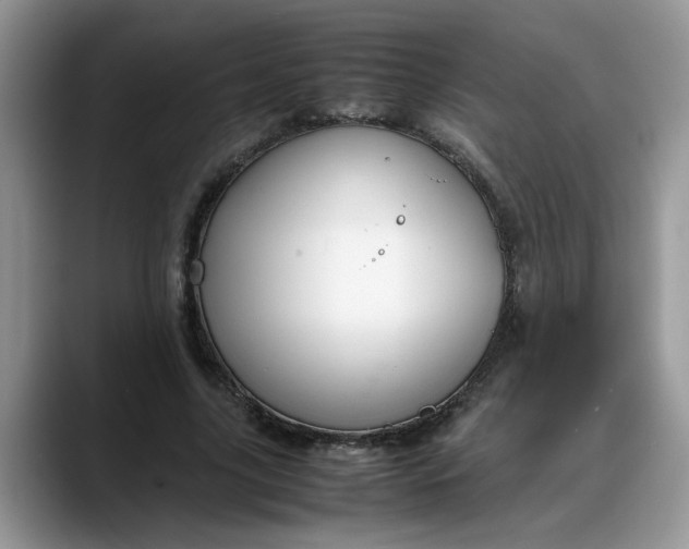 X0000088230635200705292134