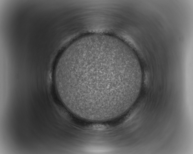 X0000088230636200705292134