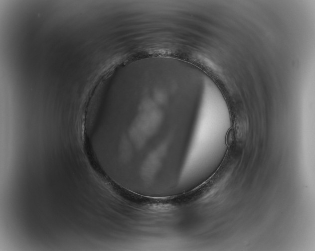 X0000088230637200705292134