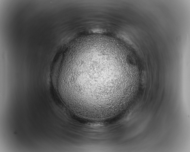 X0000088230639200705292134