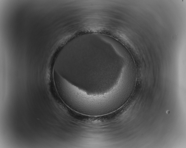 X0000088230640200705292134