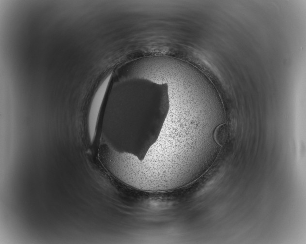 X0000088230641200705292135