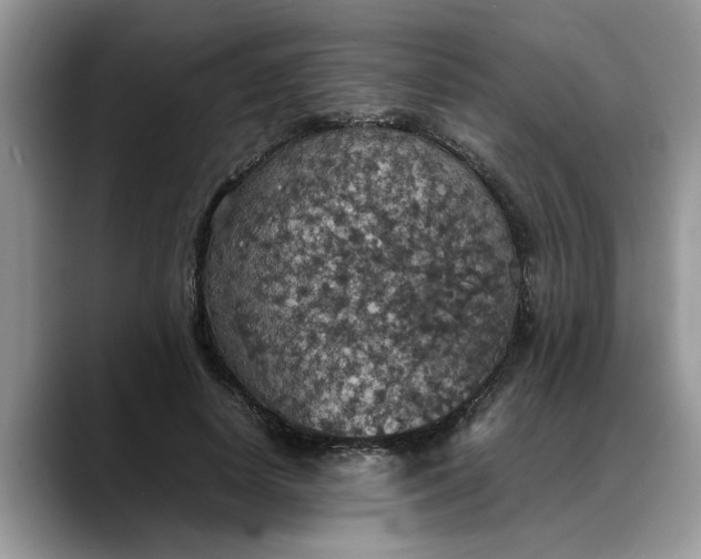 X0000088230642200705292135