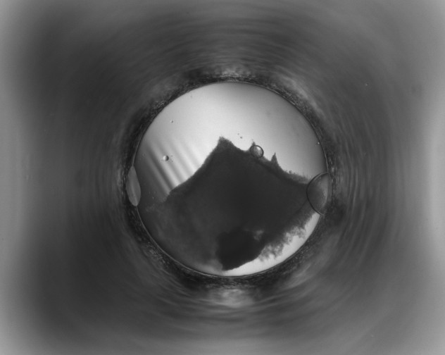 X0000088230643200705292135