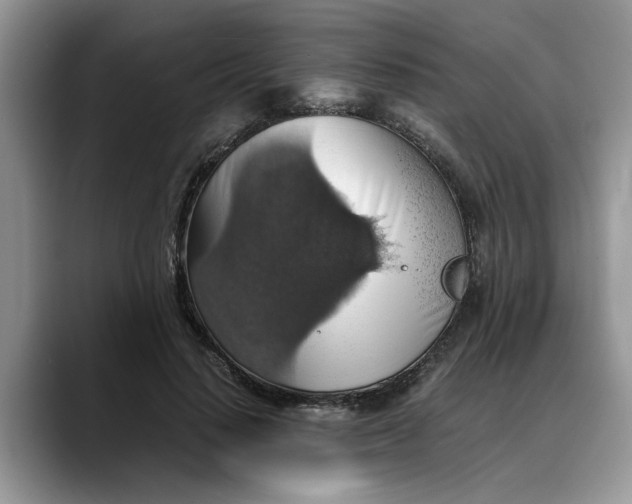 X0000088230644200705292135