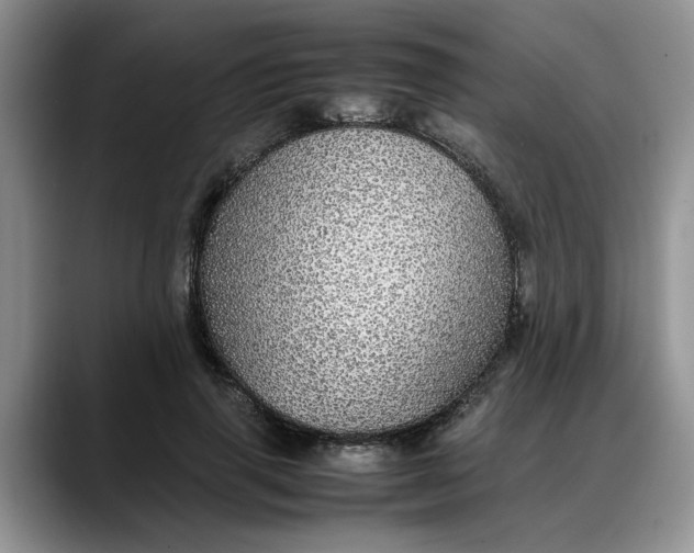 X0000088230645200705292135