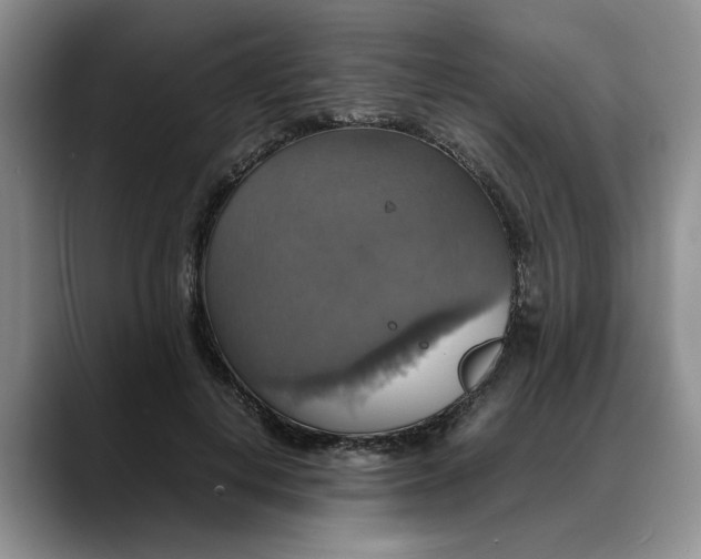 X0000088230648200705292135