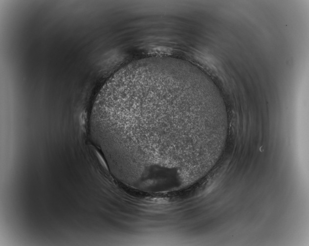 X0000088230649200705292135