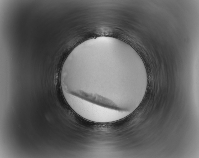 X0000088230652200705292135