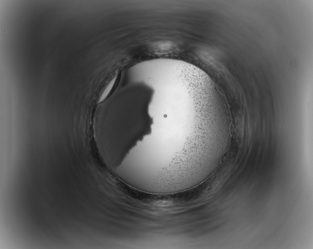 X0000088230653200705292135