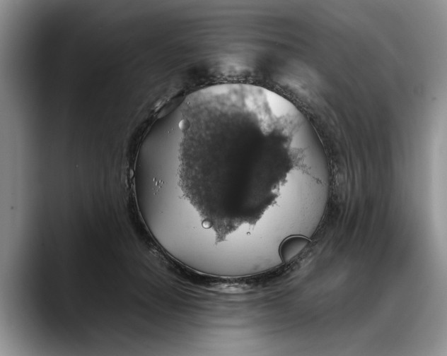 X0000088230654200705292135