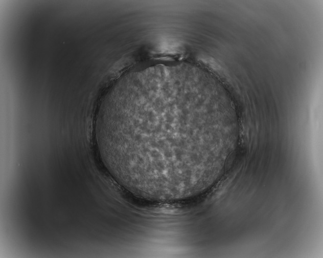 X0000088230656200705292135
