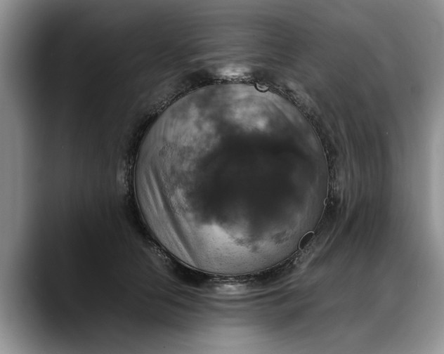 X0000088230658200705292135