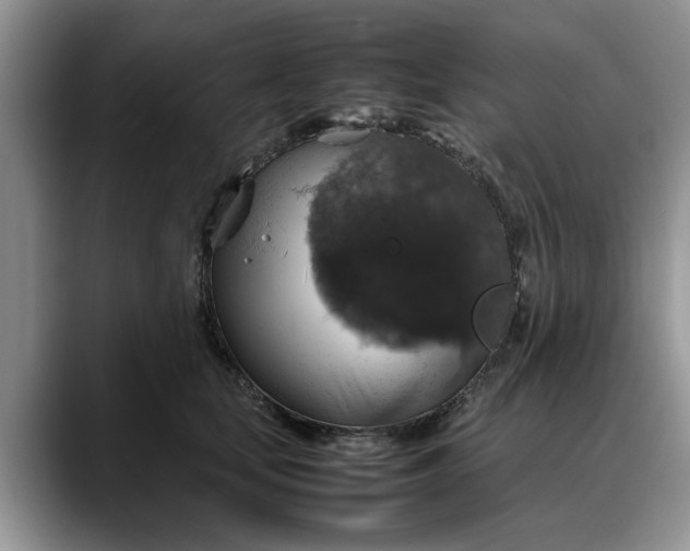 X0000088230659200705292135