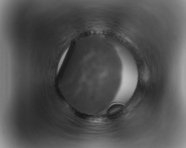 X0000088230661200705292135