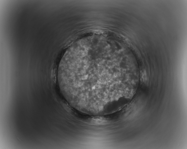 X0000088230666200705292135