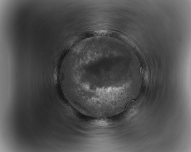 X0000088230668200705292135