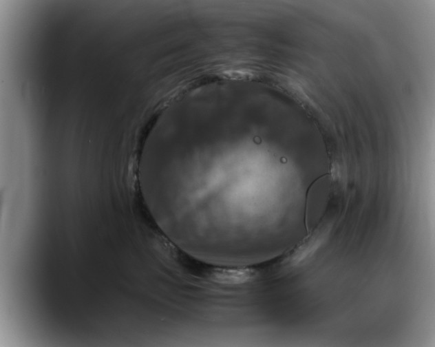 X0000088230671200705292135