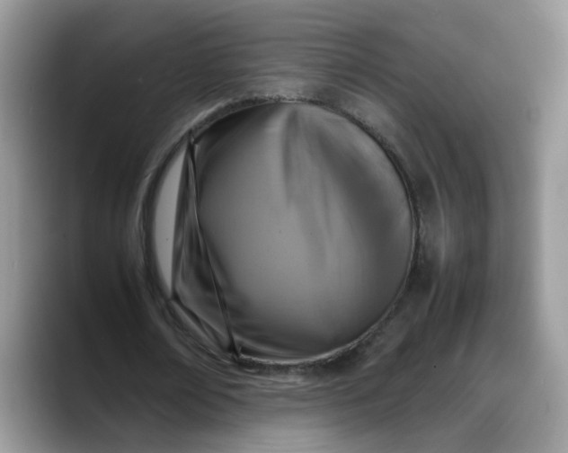 X0000088230674200705292134