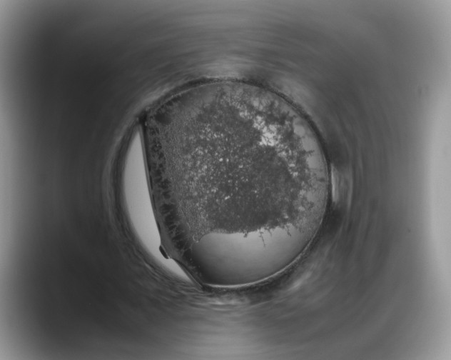 X0000088230675200705292134