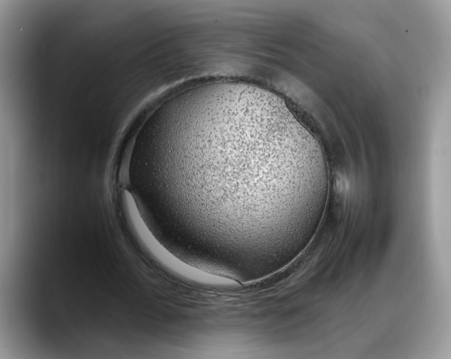X0000088230676200705292134
